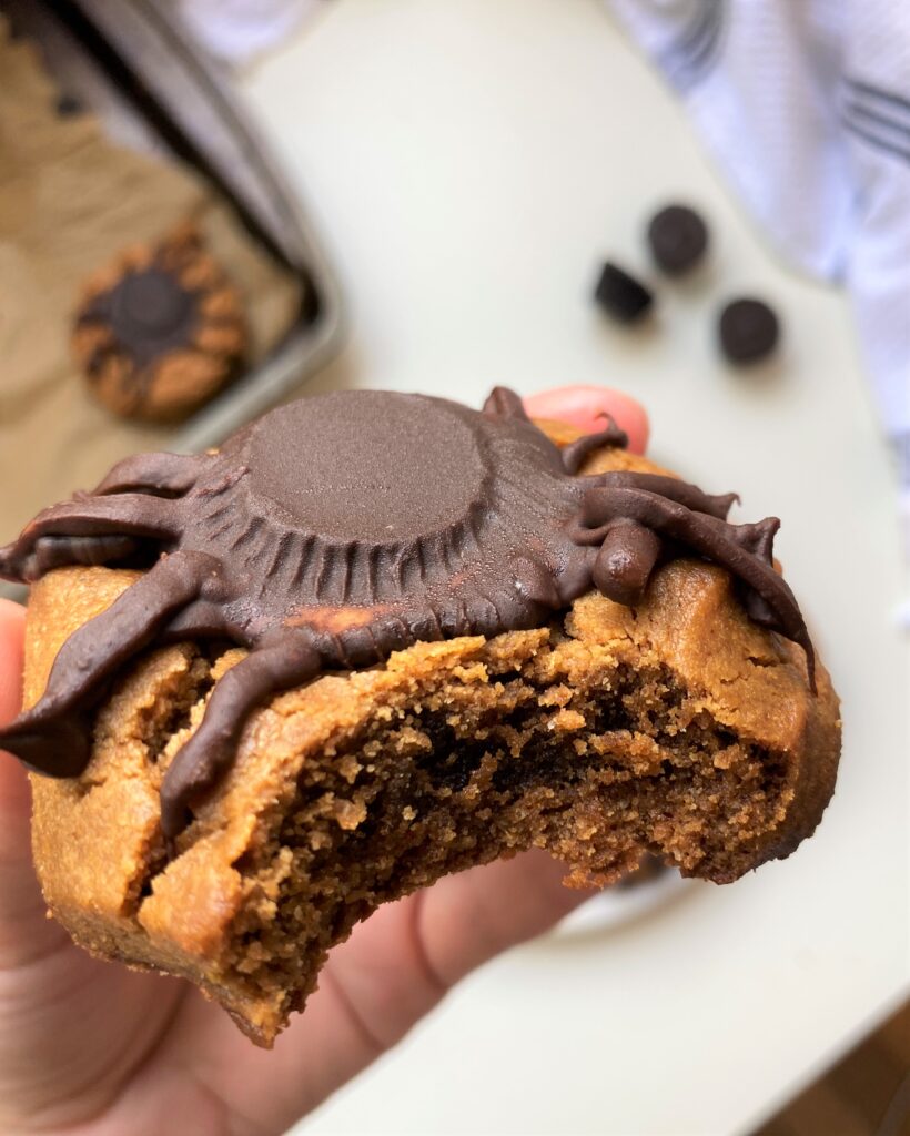 close up of healthy halloween spider cookies